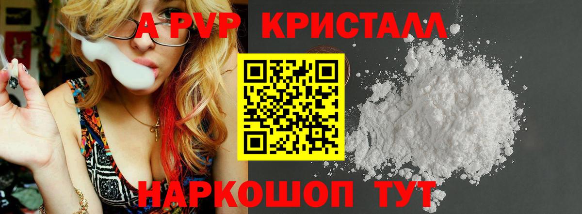 A PVP крисы CK Гай