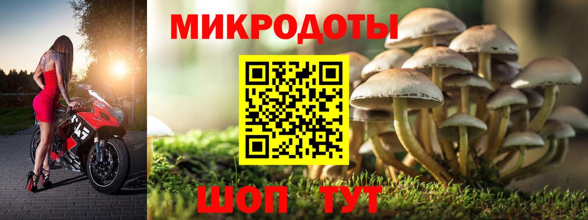 Псилоцибиновые грибы ЛСД  Вход с VPN  Гай  Галлюциногенные грибы ЛСД 